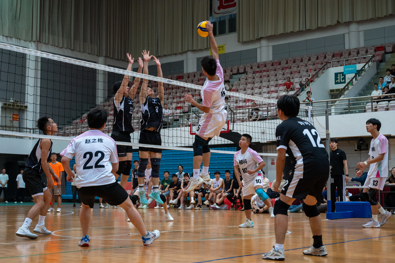 植物科学学院5号球员扣杀进攻(学通社记者 李泽坤 摄)